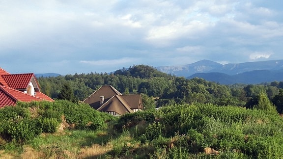 Wein und Wandern – Blick auf Riesengebirge