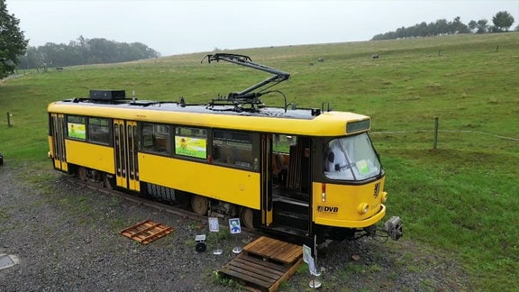 Wagen einer Tatrabahn steht vor einer Wiese.