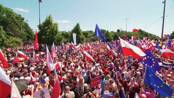 Menschenmenge protestiert mit Flaggen