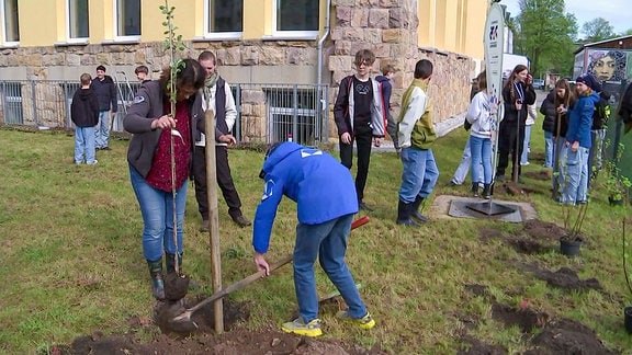 Schüler pflanzen einen Baum