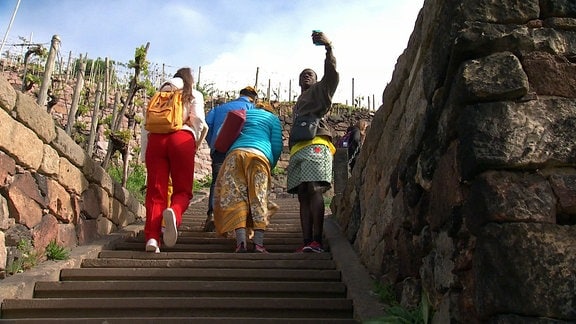 Eine Gruppe Menschen steigt eine Treppe an einem Weinberg hoch.