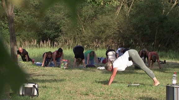 Gruppe von Menschen macht Yoga auf einer Wiese