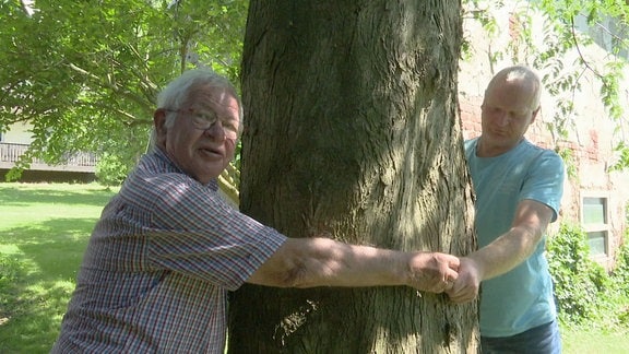zwei Männer umarmen zusammen einen Baum