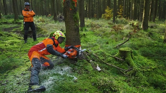 Ein Mann fällt einen Baum