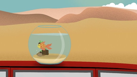 Fisch in Aquarium
