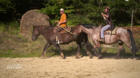 Auf dem Pferdehof Anders in Ehrenberg