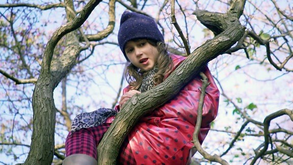 Ein Mädchen ist in einen Baum geklettert