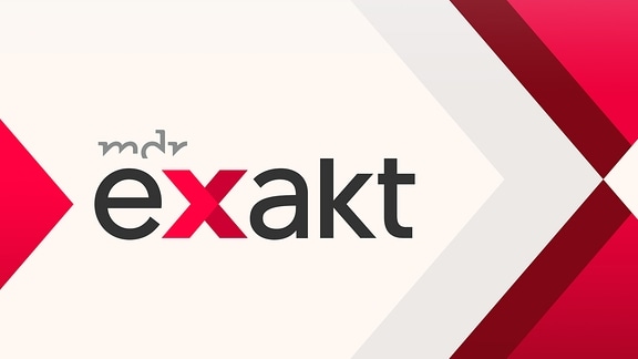 Exakt - Logo