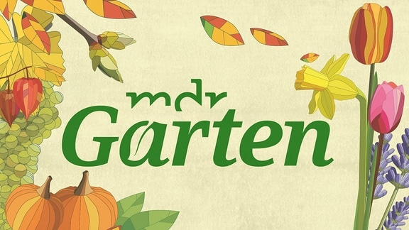 MDR Garten - Logo