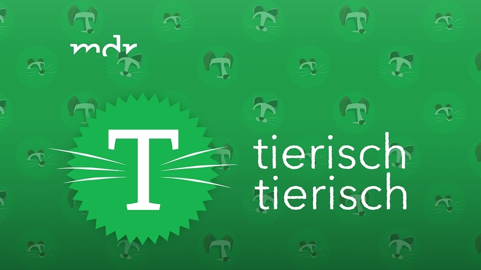 Www Tierisch Tierisch De Www Tierisch Tierisch De