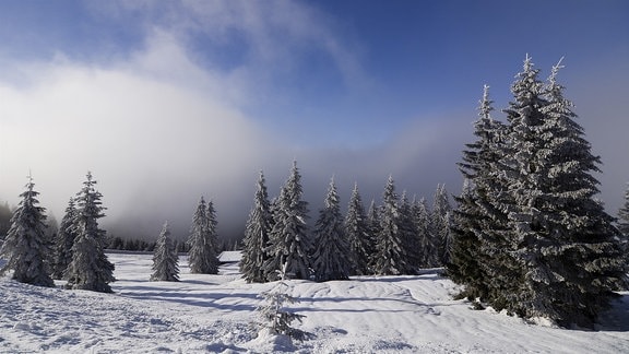 Eine Zauberlandschaft aus Eis und Schnee: Das Riesengebirge. Hier entspringt die Elbe. Sie durchfließt Tschechien und Deutschland und mündet nach 1100 Kilometern bei Cuxhaven in die Nordsee.