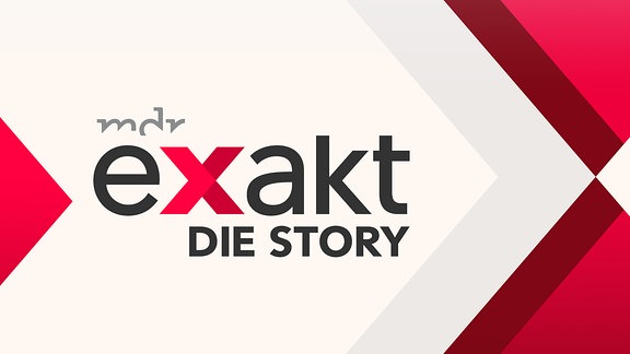 Exakt - die Story - Logo
