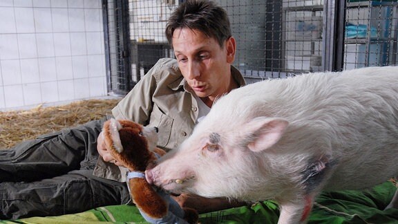 Tierpfleger Conny (Thorsten Wolf) kümmert sich aufopferungsvoll um das rekonvaleszente Schwein Otto.