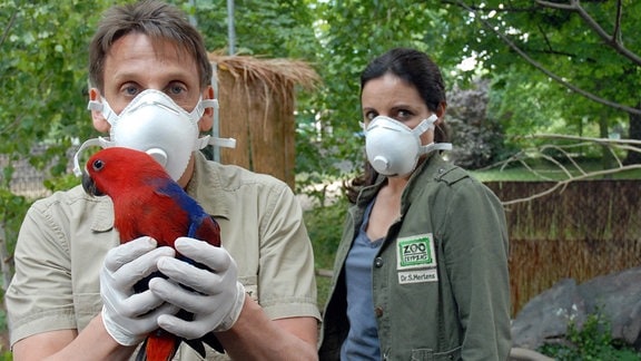 Dr. Susanne Mertens (Elisabeth Lanz, r.) ist davon überzeugt, dass der Papagei von Dr. Tom Berkhoff den gefährlichen Virus in den Zoo eingeschleppt hat. Gemeinsam mit Tierpfleger Conny (Thorsten Wolf, l.) separiert sie den Vogel.
