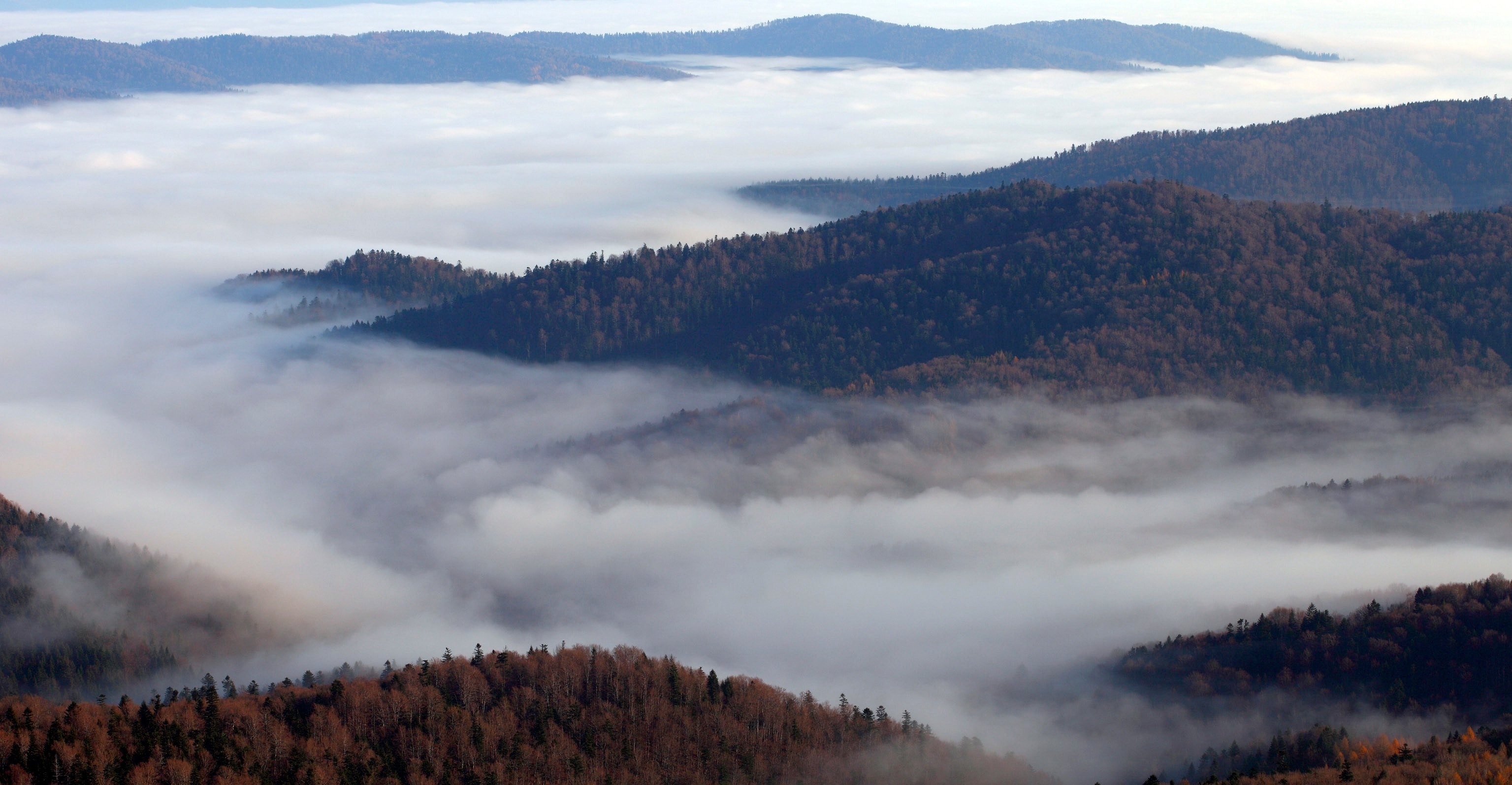 Wolfsgebirge Wolfsgebirge