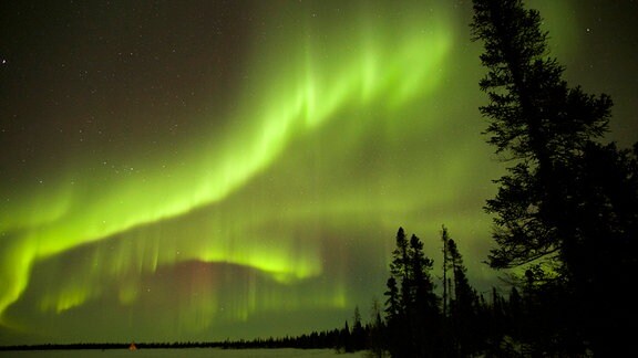 Nordlichter/Polarlichter zu sehen am nächtlichen Himmel.