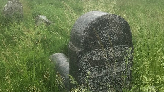 Überwuchert und vernachlässigt: Der alte jüdische Friedhof von Lypowez 