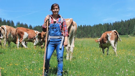 Anna verbringt einen Sommer auf der Alm von Sennerin Kati und hilft ihr bei der Arbeit. Die Saison beginnt mit dem Almauftrieb der Kühe. 