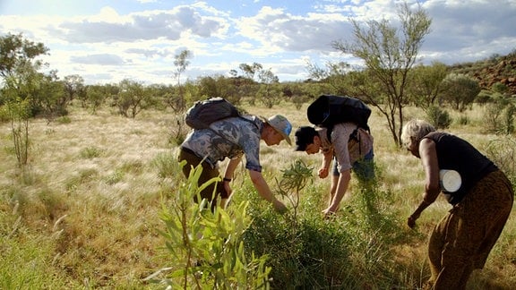  Josh und Ben im Outback