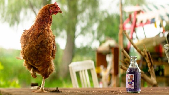 Albert und sein Huhn Eugenie (gesprochen von Anne-Kathrin Gummich) finden eines Tages in ihrem Treibgutnetz eine Flasche mit dem Gewinncode für einen Hauptgewinn.