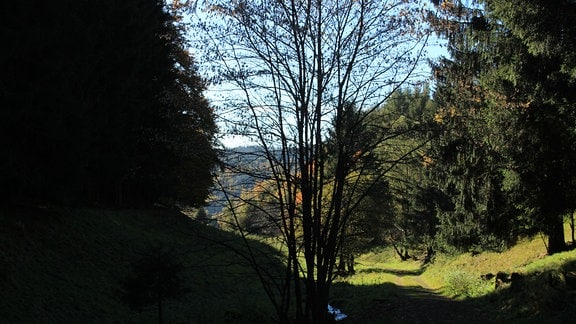 Am Dorfrand beginnt das Moosbachtal - romantisch, historisch und geheimnisvoll. 