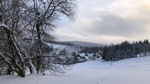 Schnee und Schellerhau - eine ideale Verbindung im Januar.