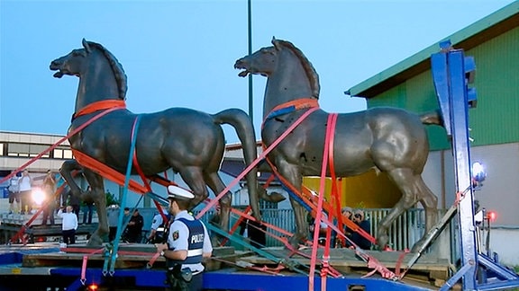 Thorak-Pferde auf einem Laster gespannt