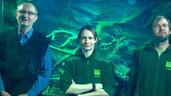 Lothar Dudek, ehemaliger Mitarbeiter des Aquariums besucht regelmäßig seine „Nachfolger“ Martina Hacker und Andreas Seeger