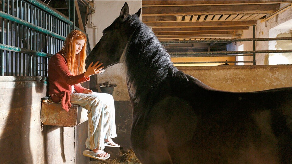 Welche Ostwind Filme gibt es? Welche Ostwind Filme gibt es?