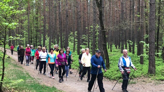 Die Nordic-Walking-Gruppe hat ihr Revier in der Dahlener Heide. Auch Kurgäste und Auswärtige sind gern gesehen.