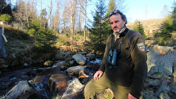 Dirk Gronowski ist Ranger im Nationalpark Harz – und hat einen wachen Blick auf die Vogelpopulation entlang der Bode-Quellflüsse.