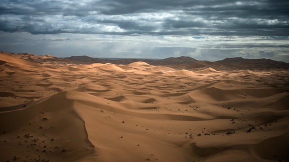 In Nordafrika grenzt die größte Wüste der Welt an das Mittelmeer: die Sahara.