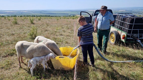 Reinhard „Hubi“ Hubert hütet etwa 500 Schafe. Der Forstberg ist seine Sommerweide. Sohn Hagen und Tochter Maria sind am Wochenende häufig bei ihm.