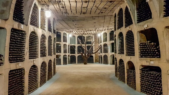 Milesti Mici ist der größte Weinkeller der Welt mit rund 1,7 Millionen Weinflaschen. Er liegt in einem rund 200 km langen Stollensystem, das einst ausgehoben wurde, um Baumaterial für die im 2. Weltkrieg zerstörte Stadt Chişinău zu gewinnen.