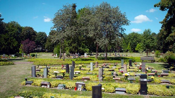 Grabfeld auf dem Westfriedhof Magdeburg