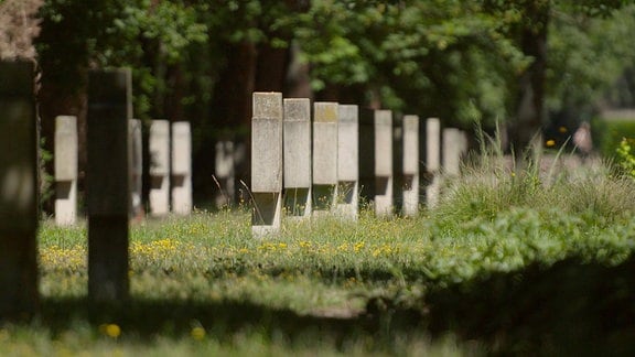 Soldatengräber auf dem Westfriedhof Magdeburg