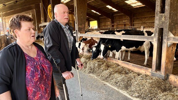 Konstanze und Reinhard Metzner waren Bio-Pioniere. Nach 30 Jahren sollen sich nun Nachfolger um die 50 Milchrinder kümmern.