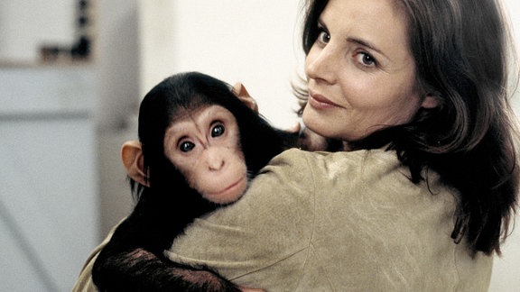 Susanne Mertens (Elisabeth Lanz) hat den kleinen Schimpanse Momo in häuslicher Pflege. Doch dem Affenbaby geht es gar nicht gut, es leidet an allergischem Asthma.
