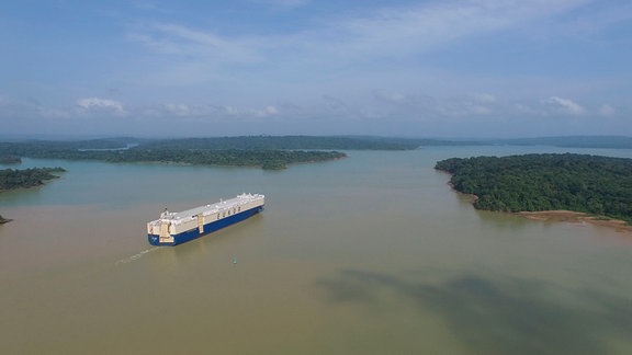 Der Panamakanal wird neuer Lebensraum.