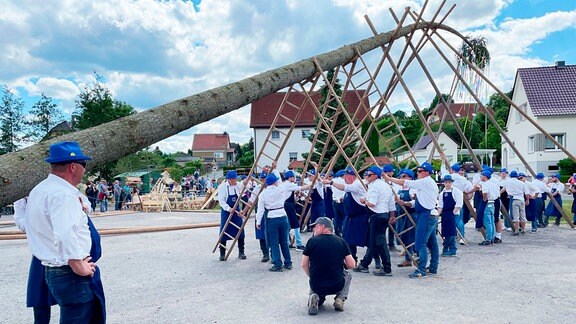 Aufstellen des Maibaums auf dem Schenkenplatz in Weißenborn