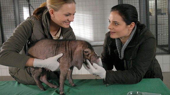 Tierpflegerin Anett (Anna Bertheau, l.), die gerade ein Minischwein untersucht, freut sich sehr, dass Dr. Susanne Mertens (Elisabeth Lanz, r.) wieder da ist.