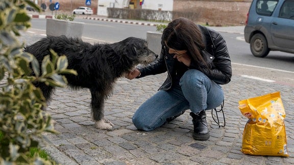 Jana Hoger leitet die Straßenhunde-Kampagne Rumänien bei der Tierrechtsorganisation Peta. Auf ihrem Weg zur Kampagne hat sie einen Hund mit einer unversorgten Wunde am Bein gefunden. Sie nennt ihn Rudi und nimmt ihn mit. Rudis Bein konnte dank einer Operation gerettet werden.