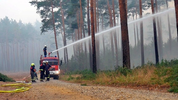 Die Feuerwehr löscht einen 86 qm großen Waldbrand in der Lieberoser Heide in Brandenburg.