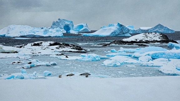 Impressionen von der Küste der Antarktis (Antarktische Halbinsel) in Höhe des Polarkreises