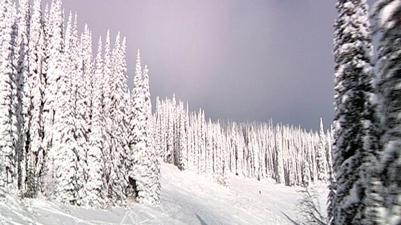 Schneelandschaft in den Monashee Mountains in Kanada.