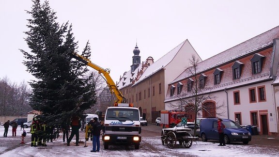 Mit großem Gerät wird der Baum für den Weihnachtsmarkt im Dorf gefällt und dann von den Kameraden der Feuerwehr im Hof zwischen Schloss und Rittergut aufgestellt. 