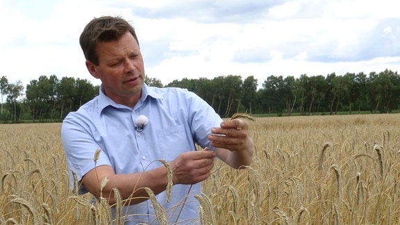 Tilmann Schwartzkopff ist heute Landwirt im Drömling – sein Vorfahre Theodor Hermann Rimpau hat mit dem Verfahren der Moordammkultur die landwirtschaftlichen Erträge immens gesteigert.