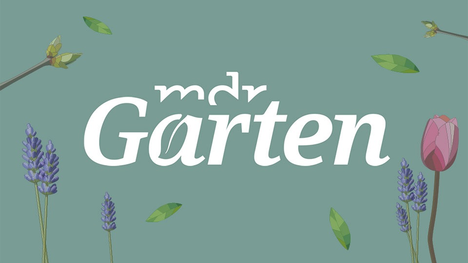MDR Garten MDR.DE