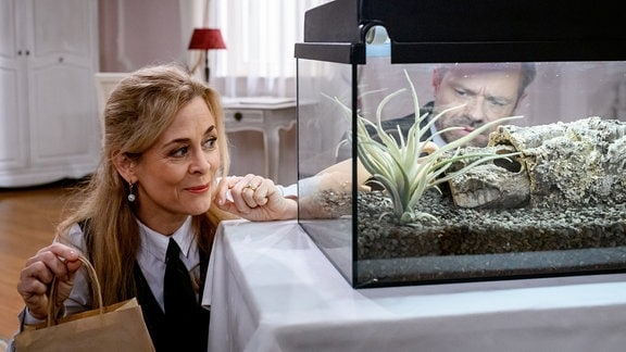 Als Erik (Sven Waasner, hinten r. mit Tanja Lanäus, l.) sich um das Terrarium kümmert, glaubt er, dass die Spinne ausgebrochen ist.