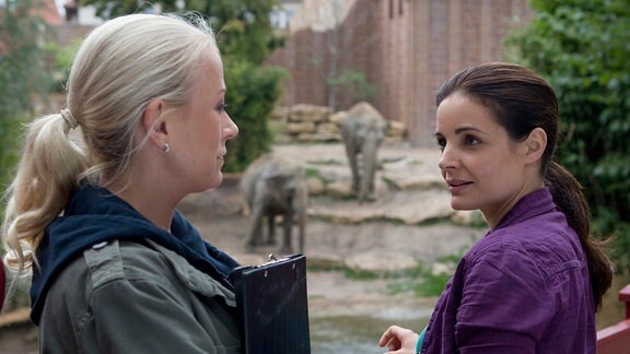 Nicole Sommer (Jenny Elvers-Elbertzhagen) und Dr. Susanne Mertens (Elisabeth Lanz) stehen vor dem Elefantengehege und unterhalten sich.